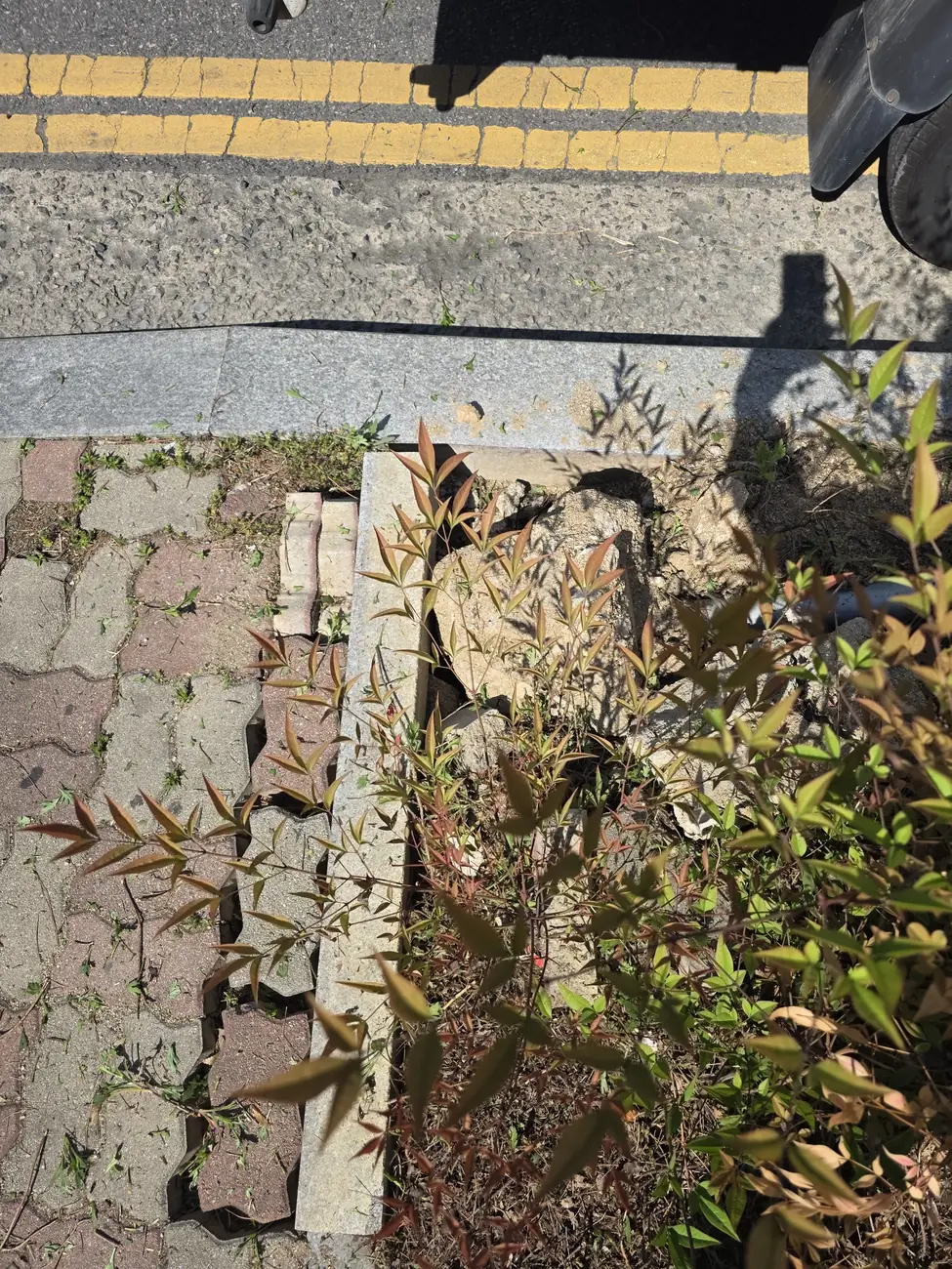 도로변 화강석 경계석 파손 확인 현장 사진